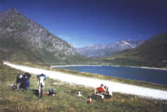 Rast am Lac du Mont Cenis 1994
